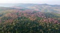 Wild Himalayan Cherry forest near agriculture aera on mountain