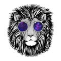 Wild hipster lion Image for tattoo, logo, emblem, badge design
