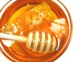 Wild honey Royalty Free Stock Photo