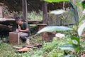 Wild honey bio cultivated in jungle - beehive maker