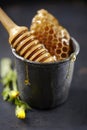 Wild honey and honeycomb Royalty Free Stock Photo