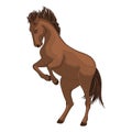 Wild horse. The brown horse kicks. Taming a horse Royalty Free Stock Photo