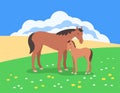 Wild horse and a foal in a summer meadow in front of a cloudy blue sky flat illustration Royalty Free Stock Photo