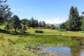 Wild horses in Aran valley in the Catalan Pyrenees, Spain. Royalty Free Stock Photo