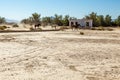 Wild Horses at Death Valley Junction