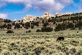 Wild Horses Grazing On Blm Land with Sage brush, cloudy sky, white clouds and rocky hills, California Royalty Free Stock Photo