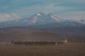 Wild horses / Kayseri Erciyes Mountain and in front of the running - Turkey Royalty Free Stock Photo