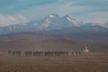 Wild horses / Kayseri Erciyes Mountain and in front of the running - Turkey Royalty Free Stock Photo