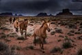Wild Horses Monument Valley