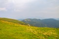 Wild horses in a mountain landscape Royalty Free Stock Photo