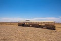 Wild horses of the Namib desert at observation viewpoint near Aus, south Namibia Royalty Free Stock Photo