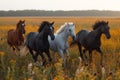 Wild Horses Racing Across the Plains. AI Generated