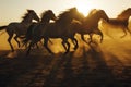 wild horses running, sunset casting long shadows Royalty Free Stock Photo