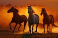 wild horses at sunset, Generative Ai Royalty Free Stock Photo