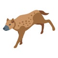 Wild hyena icon isometric vector. Animal wolf