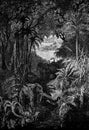 Wild and impenetrable forests, vintage engraving