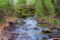 Wild inviolate untouched stream watercourse Royalty Free Stock Photo