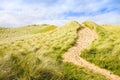 Wild Irish landscape with sand dunes - Nature trail to the beach