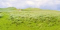 Wild Irish landscape with sand dunes - Nature trail to the beaches and the ocean Mullagmore - Ireland