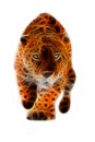 Wild Jaguar Attack Illustration