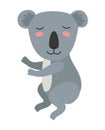 Wild koala isolated icon