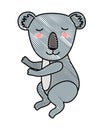 Wild koala isolated icon