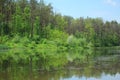 Wild Lake, Wild Forest, Green Water, Royalty Free Stock Photo