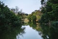 Wild lake surrounded by trees with green foliage, landscape