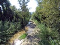 A wild beautiful landscape with riverbed - path into the unknown