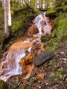 A small waterfall, running water in orange tones. rocks, rocky trees, twigs and moss.