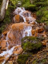 A small waterfall, running water in orange tones. rocks, rocky trees, twigs and moss.