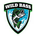 Wild largemouth bass fishing badge design Royalty Free Stock Photo