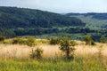 wild late summer field with tall dry grass and small trees with forest hills in the background Royalty Free Stock Photo