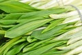 Wild leek