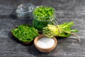 Wild leek pesto on a slice of bread with olive oil and salt on a wooden table with bread. Useful properties of wild garlic. Fresh Royalty Free Stock Photo