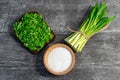 Wild leek pesto on a slice of bread with olive oil and salt on a wooden table with bread. Useful properties of wild garlic. Fresh Royalty Free Stock Photo