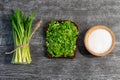 Wild leek pesto on a slice of bread with olive oil and salt on a wooden table with bread. Useful properties of wild garlic. Fresh Royalty Free Stock Photo