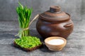 Wild leek pesto on a slice of bread with olive oil and salt on a wooden table with bread. Useful properties of wild garlic. Fresh Royalty Free Stock Photo