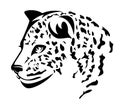 Wild leopard black and white vector head portrait Royalty Free Stock Photo