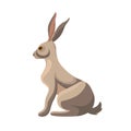 Wild leous, bunny profile. Hare, rabbit, forest animal with long ears. Jackrabbit character sitting, side view. cute mammal. Royalty Free Stock Photo