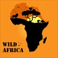 Wild life of Africa