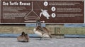 Wild life warning sign is visited by a couple of Brown Pelicans