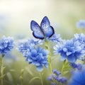 Wild light blue flowers in field and two fluttering butterfly