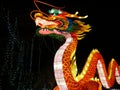 Wild lights, chinese dragon at Dublin Zoo at night