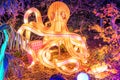 Wild lights at Dublin zoo. Light display of octopus