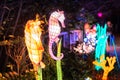 Wild lights at Dublin zoo. Light display of seahorse