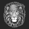 Wild lion Cool pirate, seaman, seawolf, sailor, biker animal for tattoo, t-shirt, emblem, badge, logo, patch. Image with