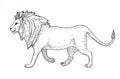 Wild lion. Hand drawn black and white image Royalty Free Stock Photo