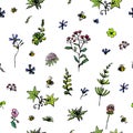 Wild little flowers with insects. A seamless background. Vector illustration Royalty Free Stock Photo