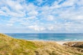 Wild long grass over looking the sea Royalty Free Stock Photo